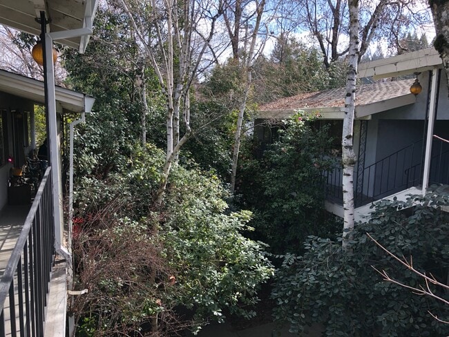 Photo - 310 S Auburn St