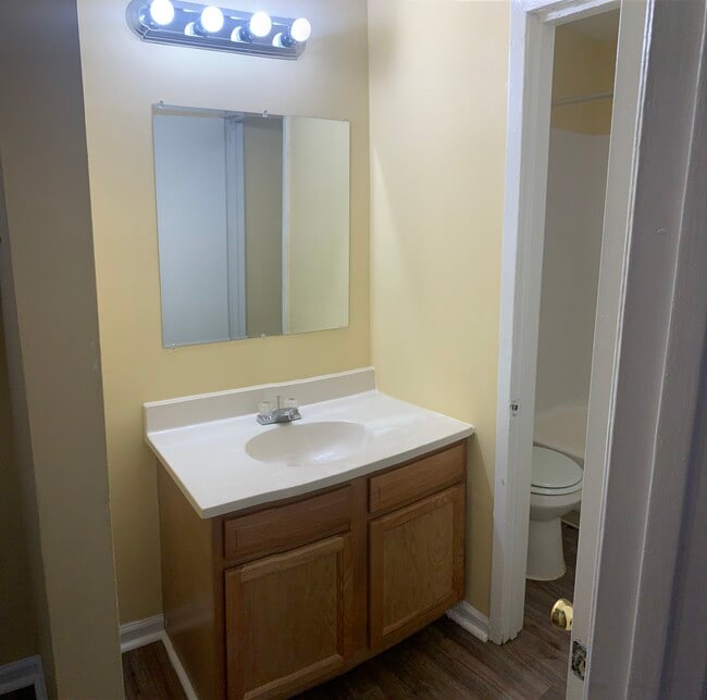 1/1 Vanity Area