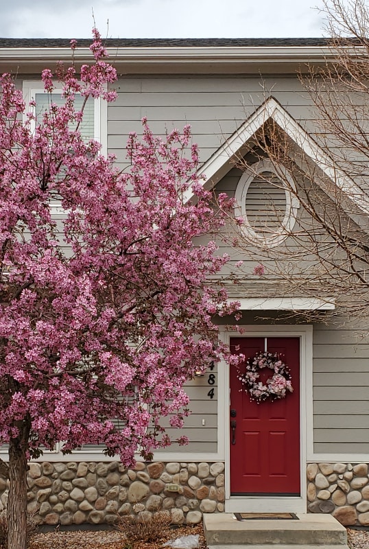 Photo - 2484 St Paul Dr