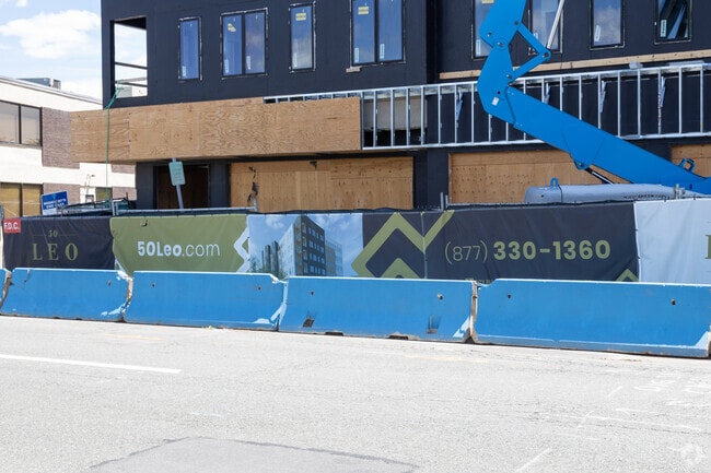 Photo - Cadence on Leo