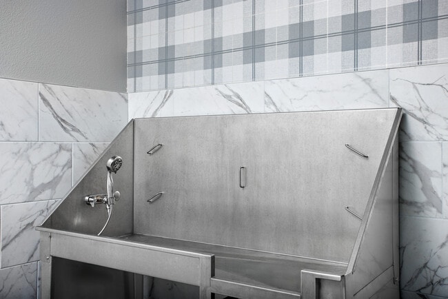 Keep your pup fresh and clean in our convenient dog spa. - Pine and Parker