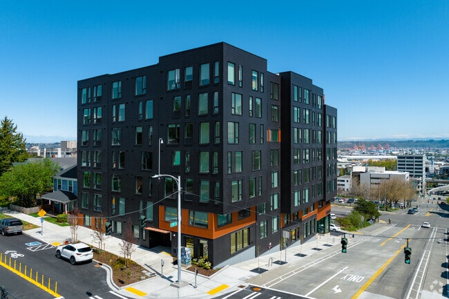 Photo - Analog Tacoma