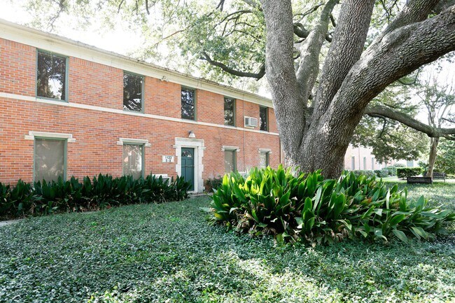 The Museum Gardens