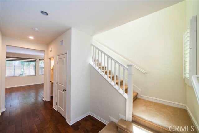 Building Photo - 33 Bromeliad