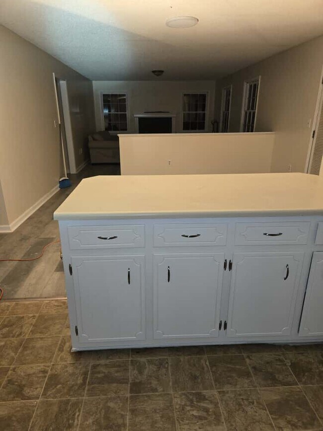 Kitchen Island - 314 W Gordon St Unit apt. 1