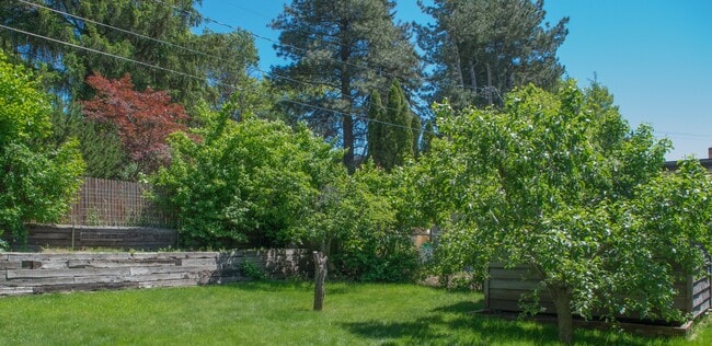 Photo - 4 Bed, 2 bath on Military Hill!