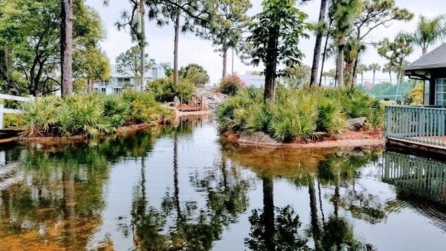 Lake in the Woods Apartments