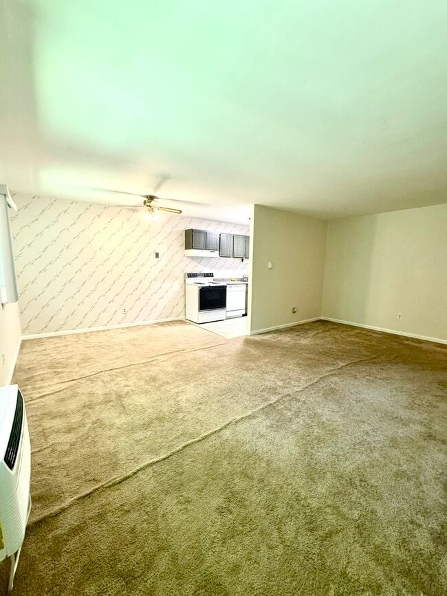 74 Barrett St