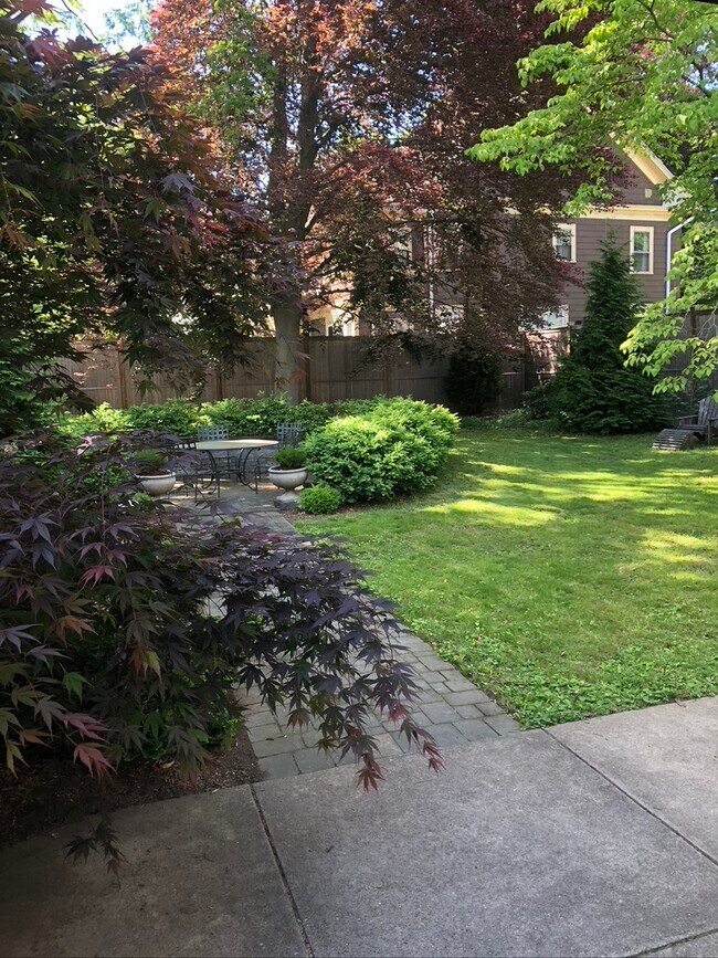 Jardín - 642 Orange St Unidad 3rd Floor Apartment