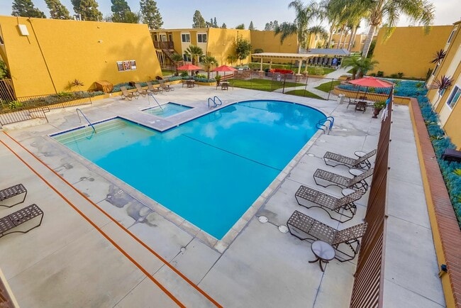 Piscina climatizada y spa