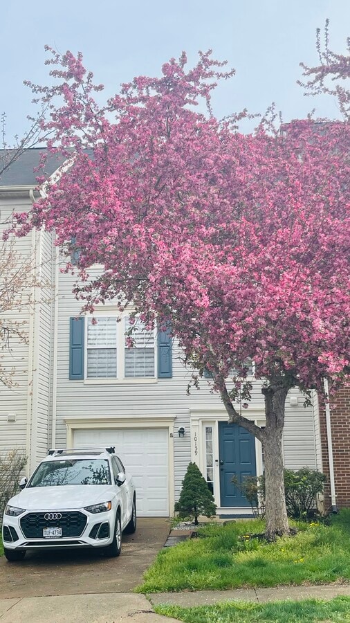 Photo - 10159 Elgin Way Townhome