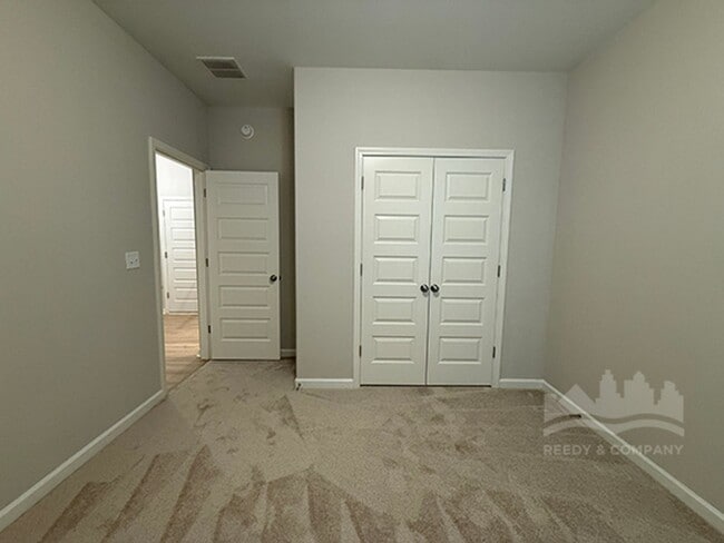 Photo - 100 Downy Birch Cv