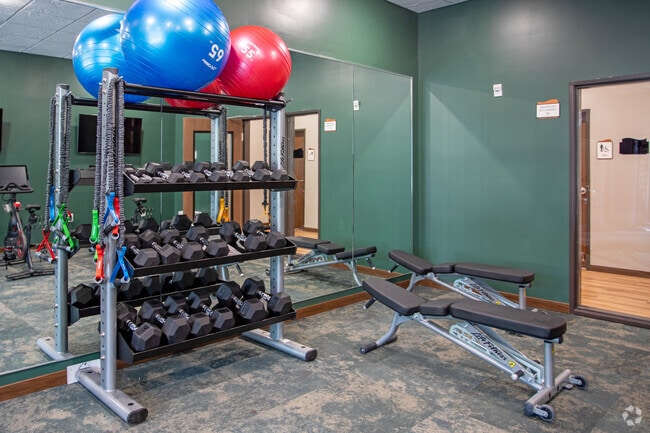 Fitness