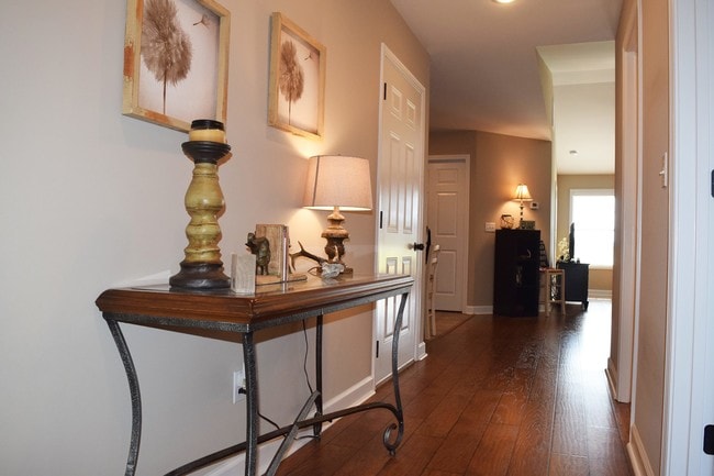 Photo - The Paddock at Sheffield Downs