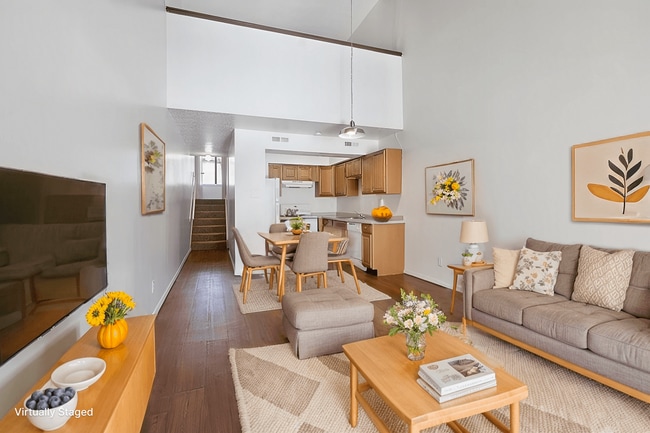 Photo - Nico Terrace