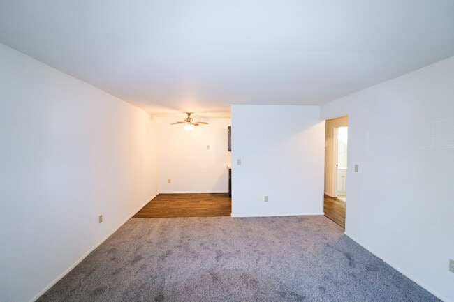 Sutton Avenue Apartments