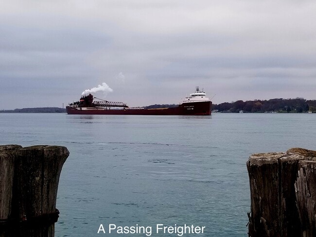 Taken from our dock