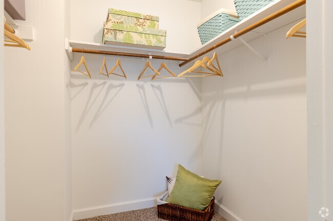 2BR, 1BA - Closet