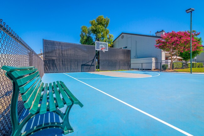 Basketball Court