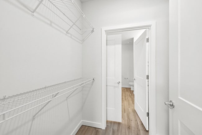 Plano de planta de los apartamentos Ascend Brightleaf