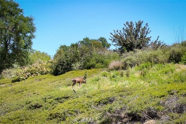 Building Photo - 85 Mira Mesa