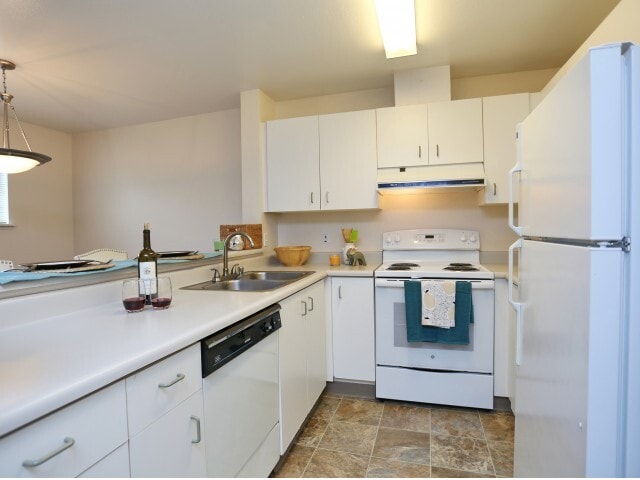 Photo - Padden Creek