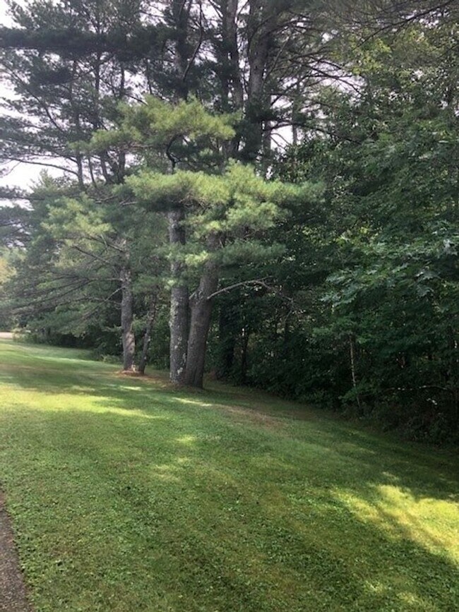 Photo - Meadowview Apartments Unidad Meadowview Apartments