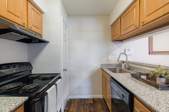 Photo - Sandshell at Fossil Creek