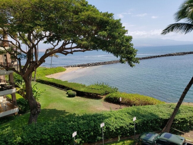 Building Photo - Maalaea Mermaid Unit 311