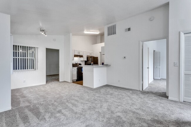 Photo - Windover Palms