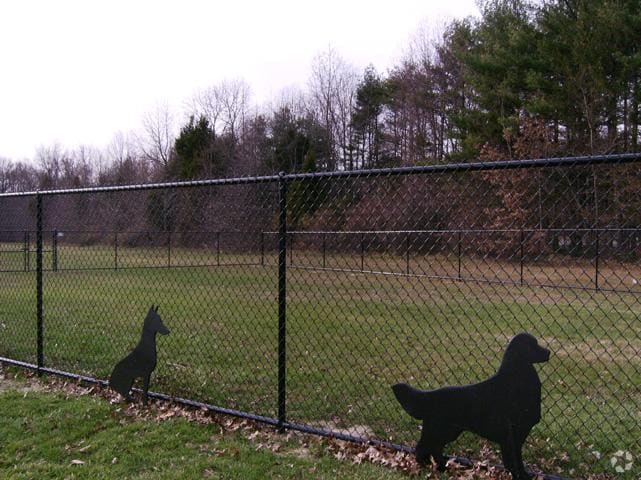 Dog Park