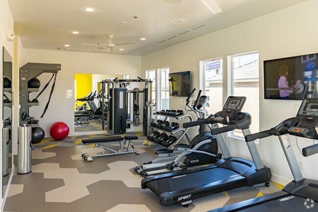 GIMNASIO
