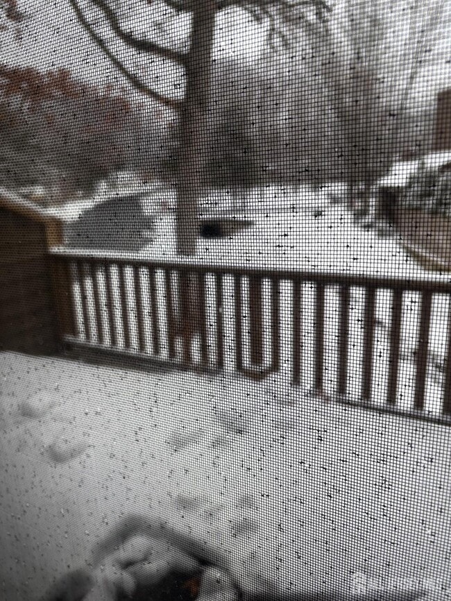 Photo - 92 Heather Ct