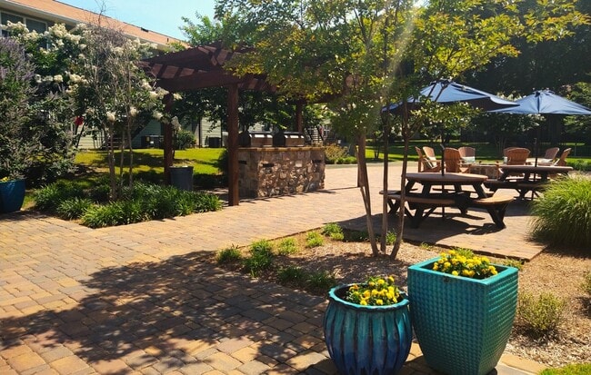 Estación de parrillas a gas & Área de pícnic - Ascent Jones Valley