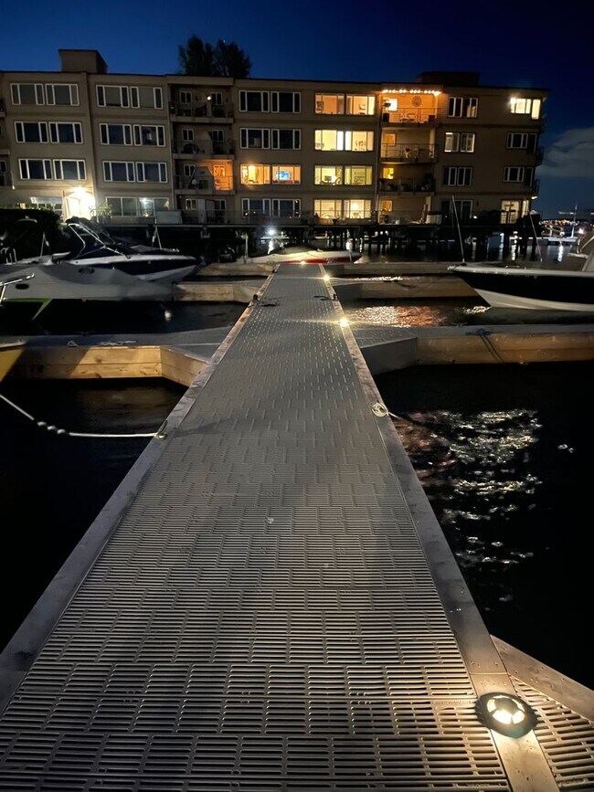 Photo - Blue Dolphin