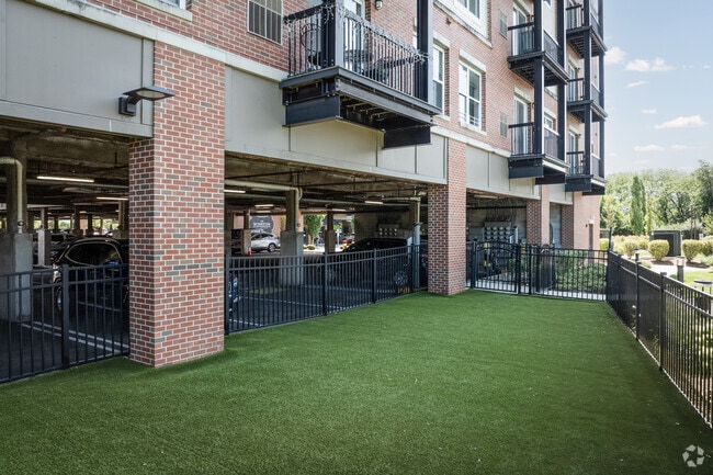 Dog Park - The Winston at Lyndhurst