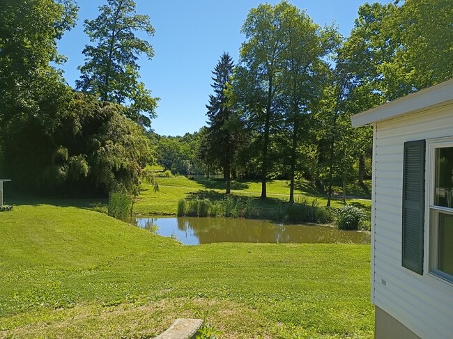 Photo - 10 Deer Lk