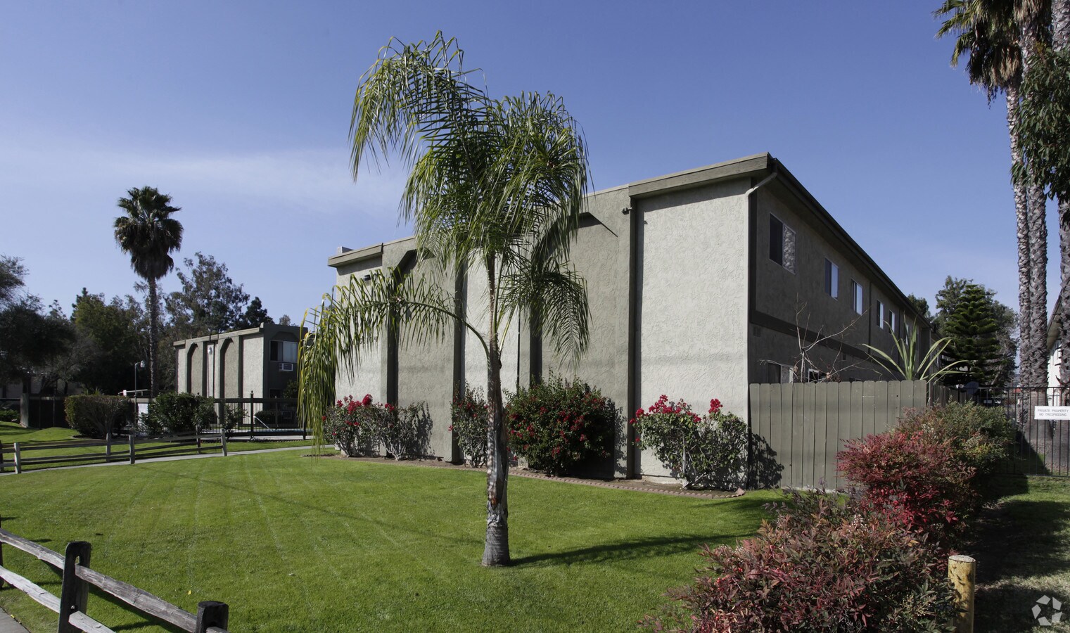 Olive Tree Apartments - Olive Tree Apartments