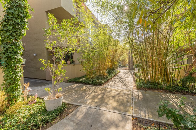 Patio - Centre Towers Apartments