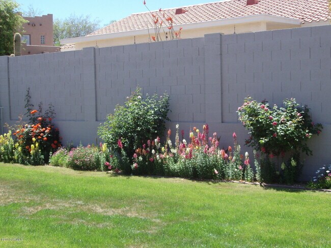Photo - 16022 N 17th Pl