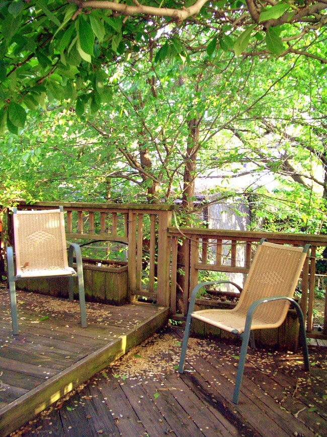 deck - 412A 17th St Unit duplex