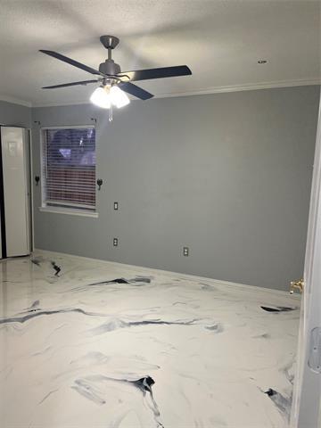 Photo - 4209 Culmer Ln