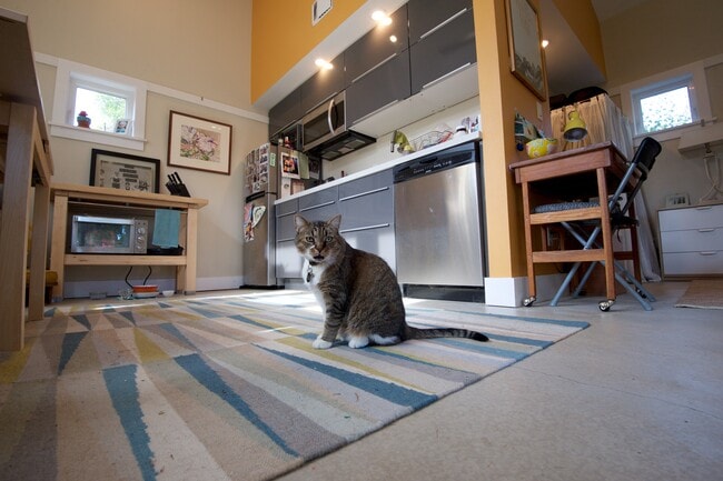 Building Photo - 4239 NE Skidmore St. Unit B