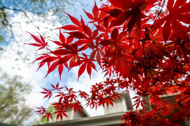 Photo - 11468 Club Dr Unidad ID1300719P