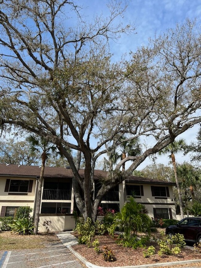 Oaks III Condominium Annual Rental Unfurn... - Oaks III Condominium Annual Rental  Unfurn... Unit A203