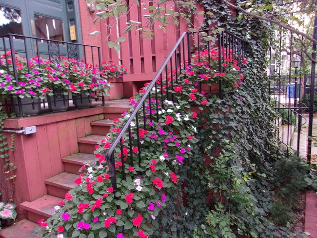 Photo - 625 W Belmont Ave