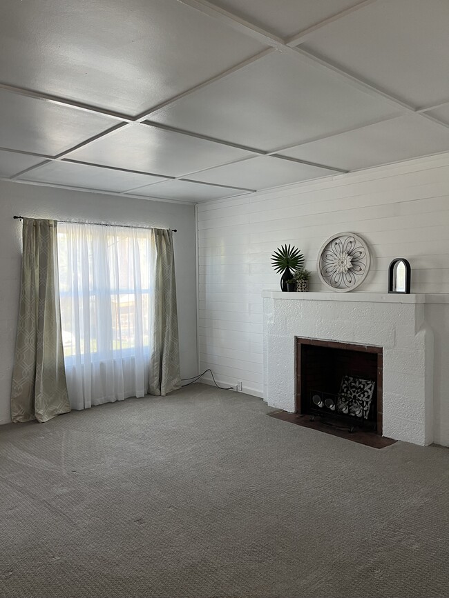 Modern Farmhouse style remodel(non-working fireplace) - 214 Bird Ct Unit 3