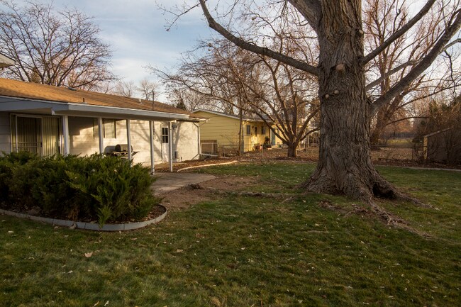 Photo - 1305 Briarwood Rd