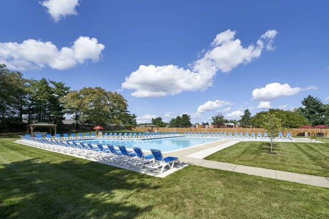 Pool and Sundeck