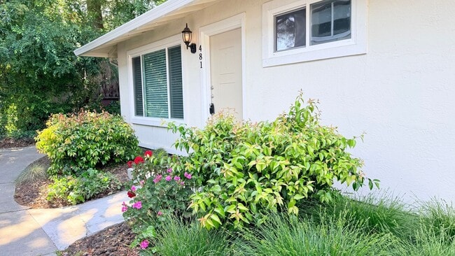 Photo - NEWLY RENOVATED---- 2BD/1BA, End Unit TH in Twin Creeks Garden, San Ramon- Available Now!